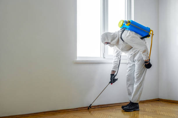 Best Rat Extermination Near Me  in Nelsonville, OH