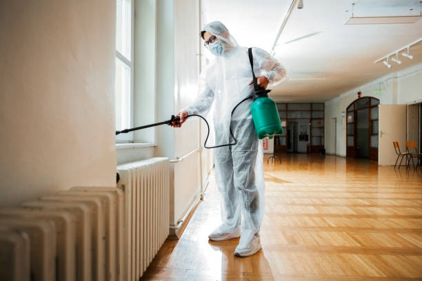 Best Wasp Removal Services  in Nelsonville, OH