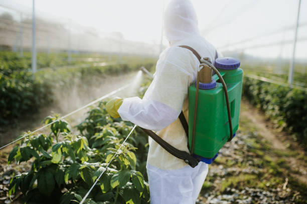 Best Local Pest Control Services  in Nelsonville, OH